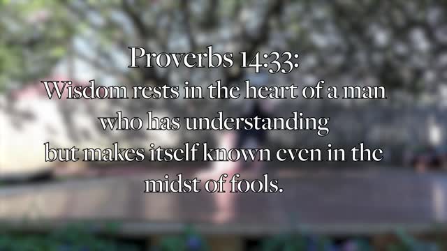 | Proverbs 14:33 |