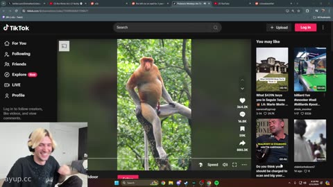 xqc vods live streams - 11/04/24 - LIVE DRAMA CLICK STUFF LI
