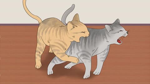Know if Cats Are Playing or Be Aggressive