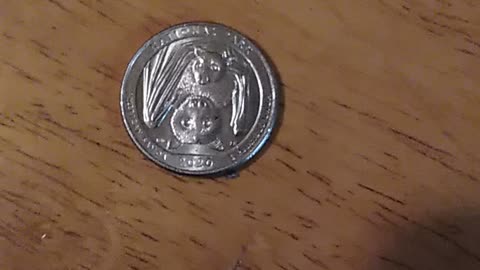 Bats on the back of 2020 quarters, coincidence or planned