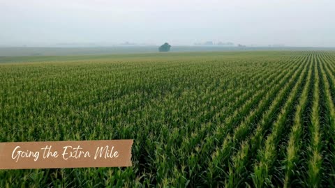 Agriculture meets Innovation