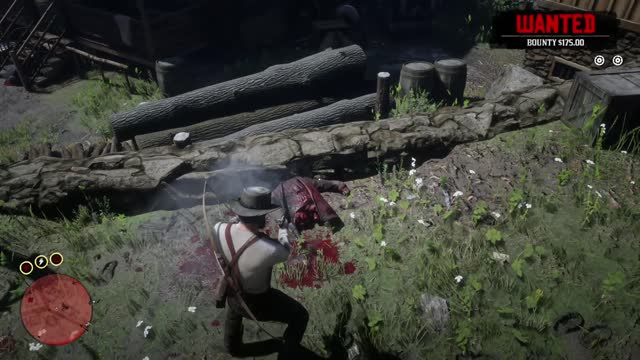 Red dead 2 gameplay