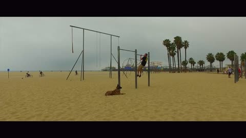 Brendan Schaub's 6-Month Old Malinois Before_After Video! Celebrity Dog Trainer