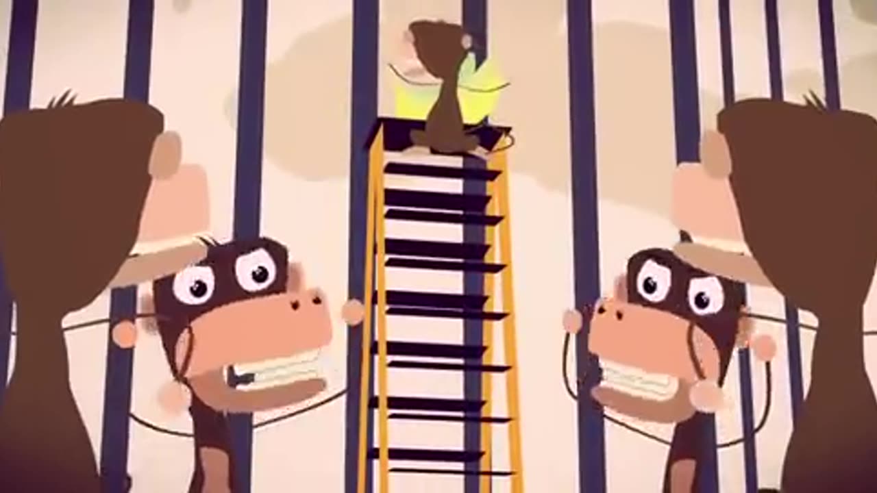 Five Monkeys