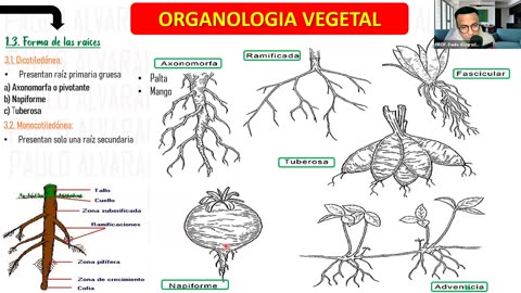PAMER SEMESTRAL ESCOLAR 2022 | Semana 09 | Biología