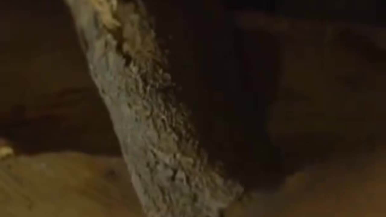 Amazing & interesting guy and the best possible person to fix our health care system.