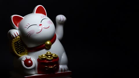 Chinese Cat
