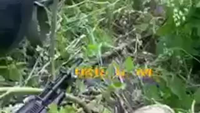 06.08.2022 Chronicle of military operations "Russia - Ukraine".