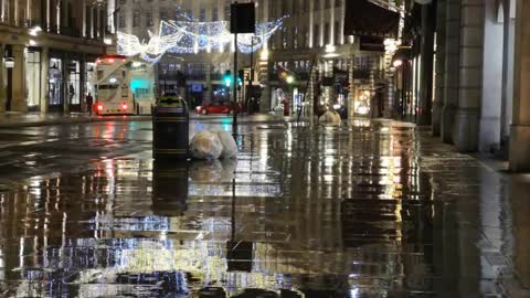 Copyright free video footage Free Stock footage Free Commercial footage Free to use Rain