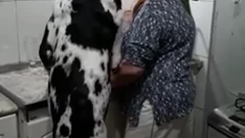 The Big Dog😍😍😍