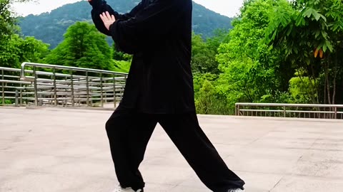 taichi1