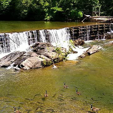 Fish at Nora Mills Granary