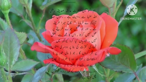 hadees of ibn e majah number 1846