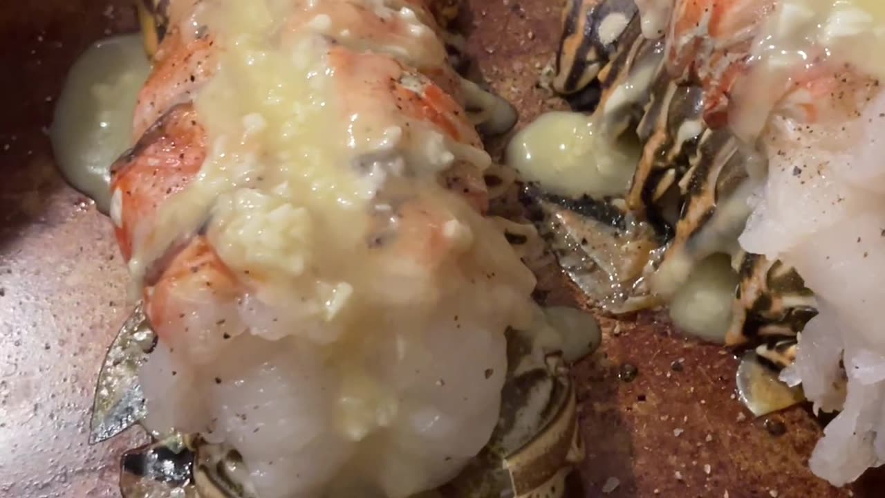 Lobster Tails - Big Fan