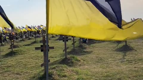 Fallen Soldiers of Nato
