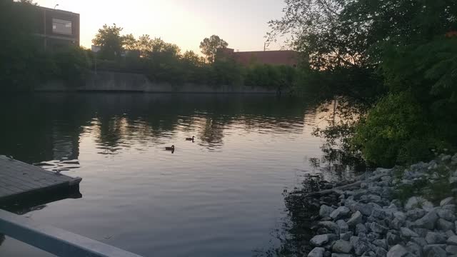 Dusk Along The Chicago River