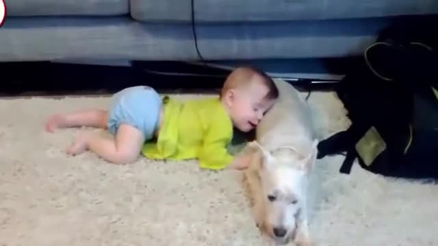 Watch the most intelligent babies