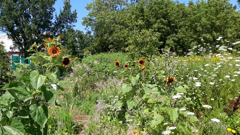 Secret Garden end of July '24