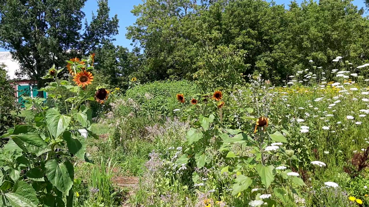 Secret Garden end of July '24
