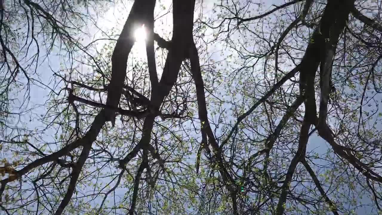 27 seconds of Lake Michigan