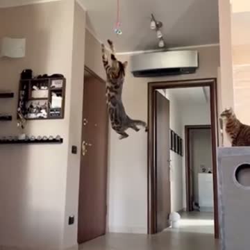 challenge for him......?????