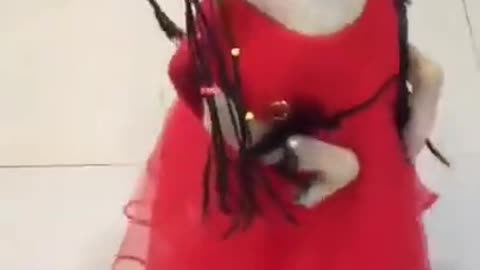 Doggy Dance