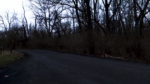 Marines running before dawn