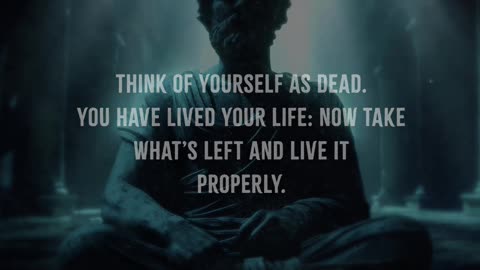 Embrace Indifference Live Your Best Life A Lesson in Priorities