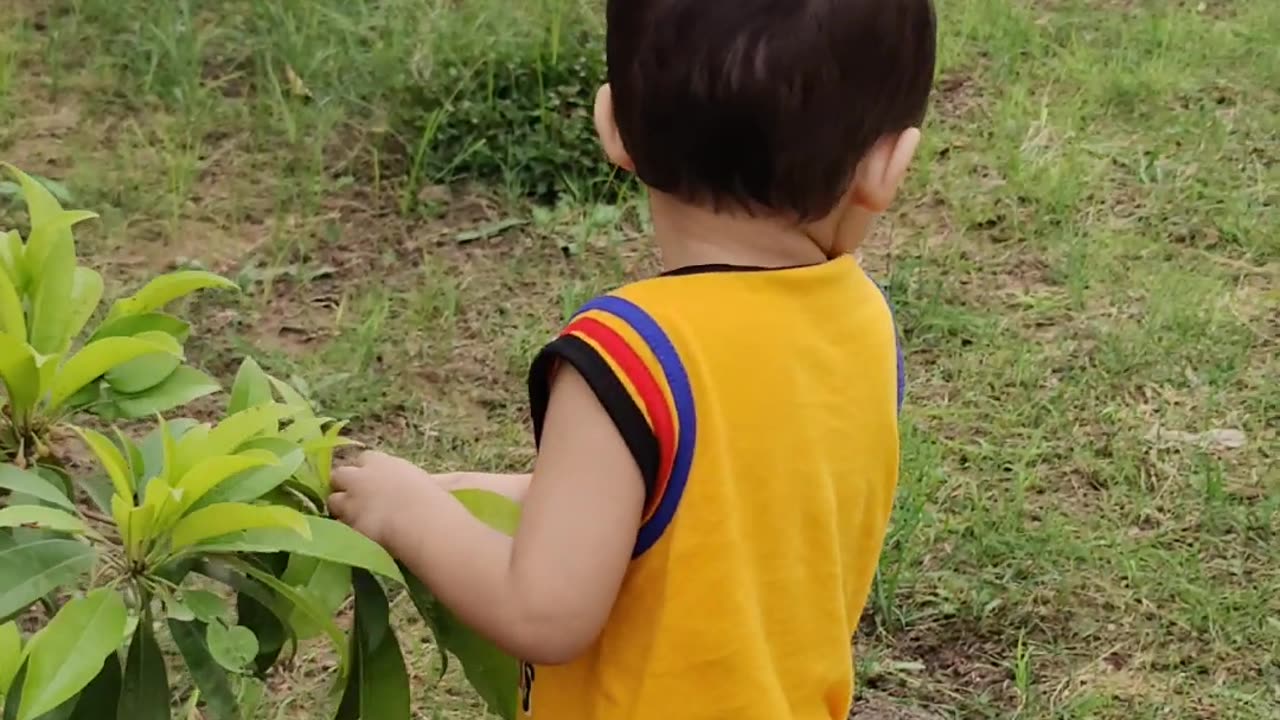 Nature with baby