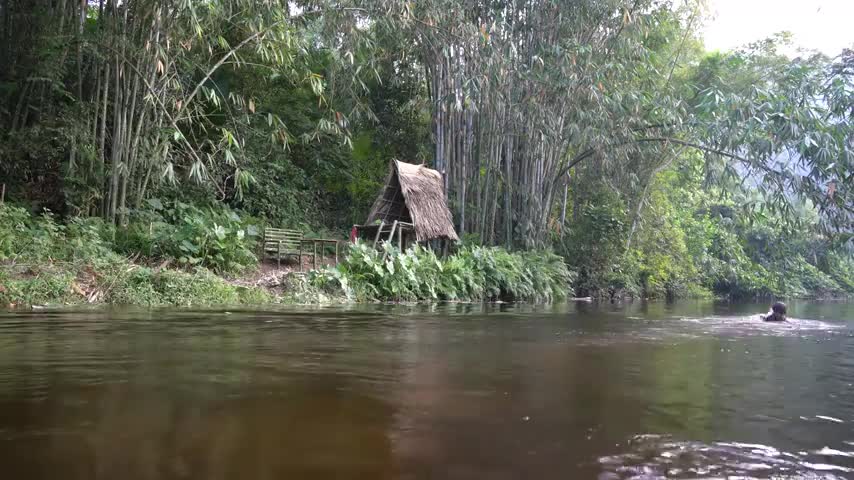 OFF GRID LIVING - Solo Bushcraft & Camping in the Forest