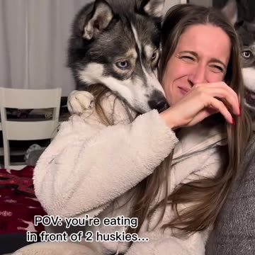 Absolutely zero personal space and i wouldnt have it any other way