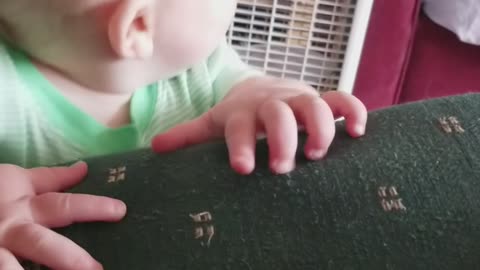 Baby begs for French fries