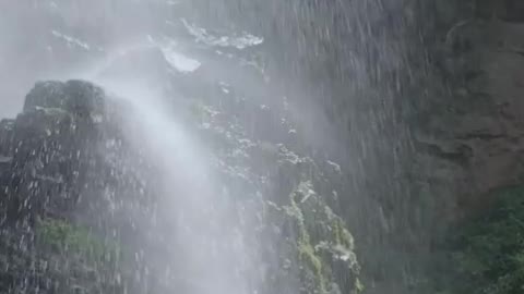 Waterfall in forest