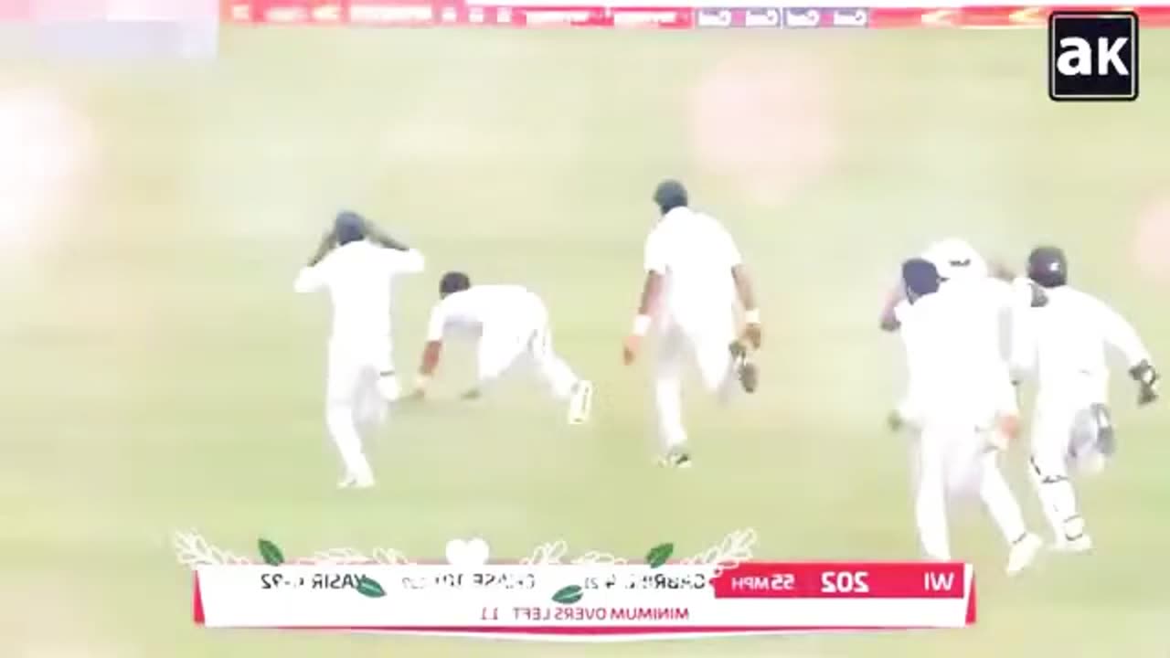 Funny cricket moments part 1