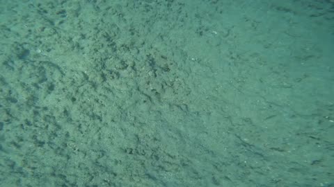 Carpooling in the Galapagos