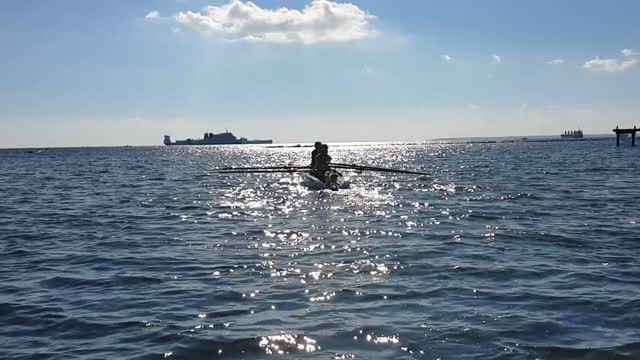 Dog experiencing coastal rowing