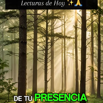 🙏✨Oración Inspirada en las Lecturas de Hoy ✨🙏