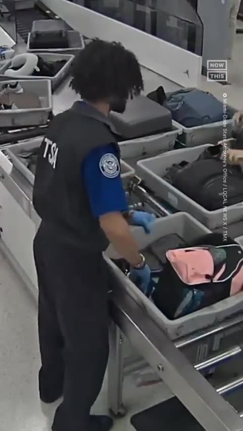 TSA officer caught stealing