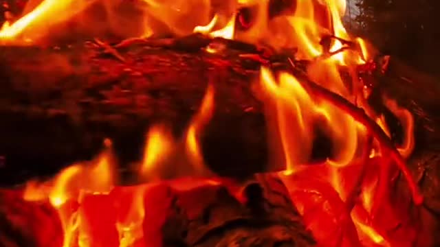 alaska#campfire#fire#roast