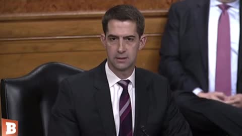 Tom Cotton Smashes Admiral