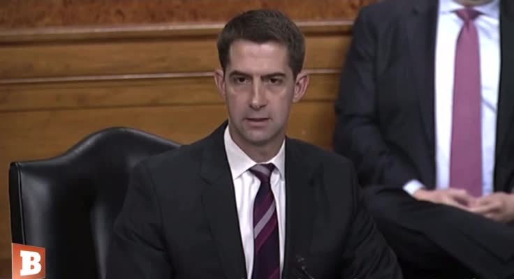 Tom Cotton Smashes Admiral