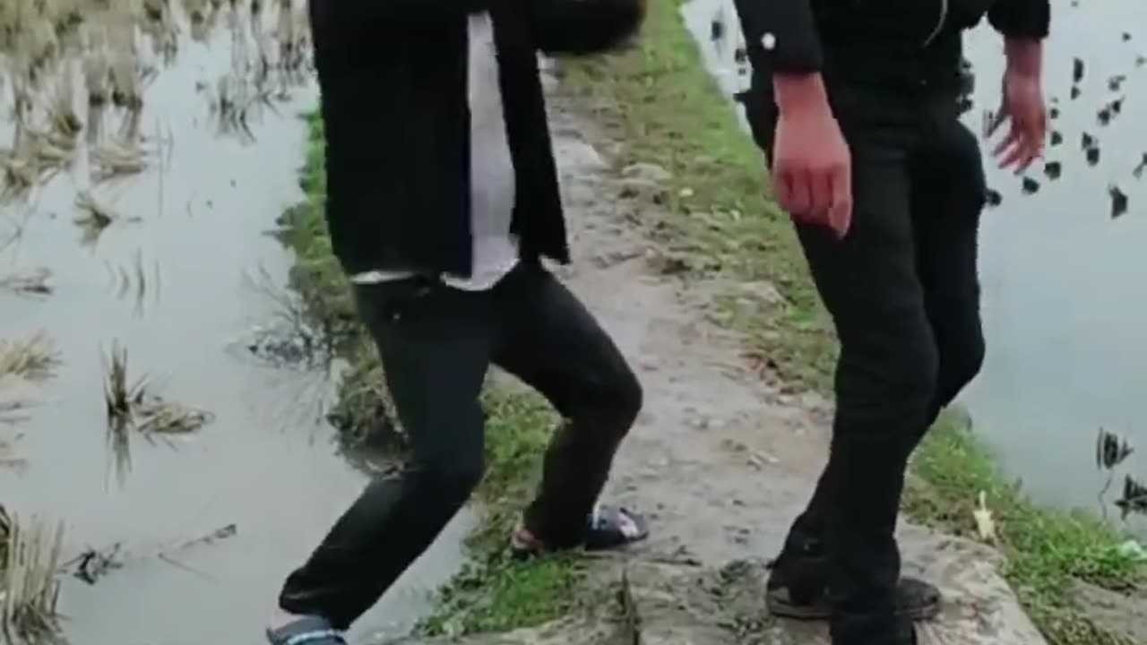 Funny comedy video | funny comedy | funny short video #funnycomedy