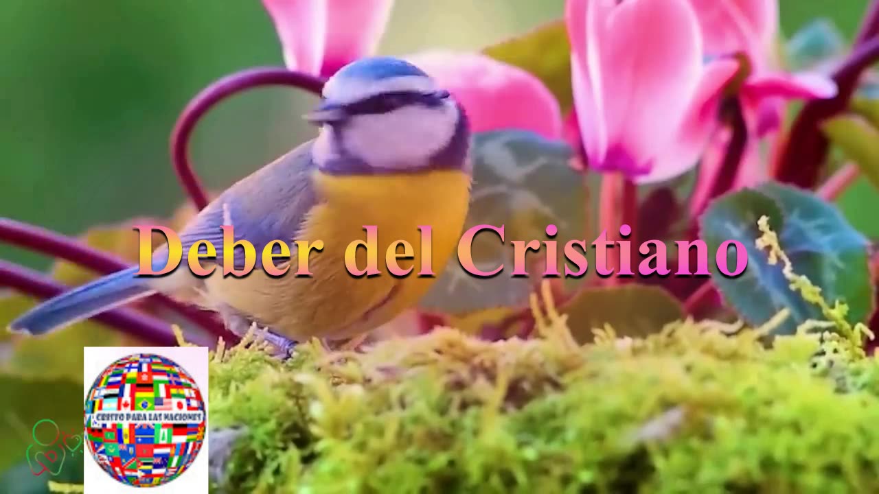 Deberes del Cristiano_ Devocional