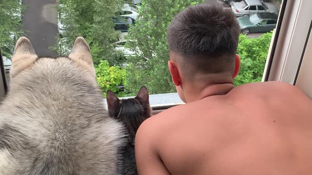 Three Friends Looking Out the Window