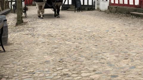 Horse and Carriage at Den Gamble By