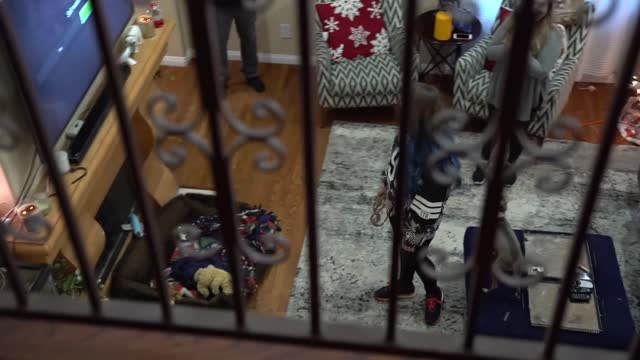 Dogs Meet A Cat