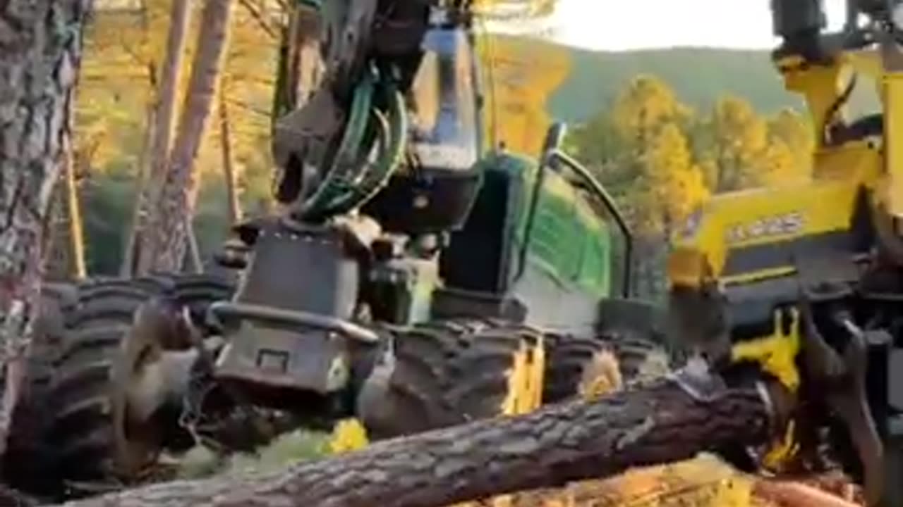 tree cutting modern machine