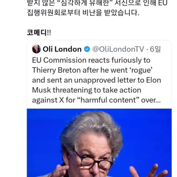 일론 머스크의 X를 위협하는 유럽의회 위원회 Ausschuss des Europäischen Parlaments bedroht Elon Musks X