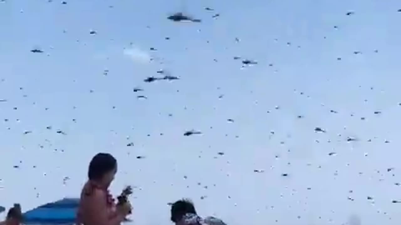 A Swarm Of Supersized Dragonflies Invaded Misquamicut Beach In Rhode Island