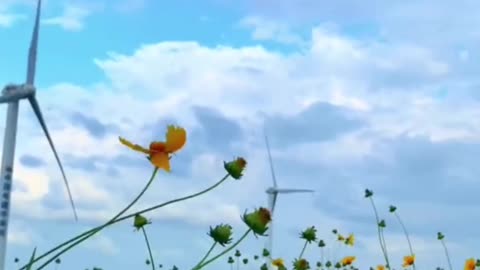 10/5000 The picturesque scenery fascinated me